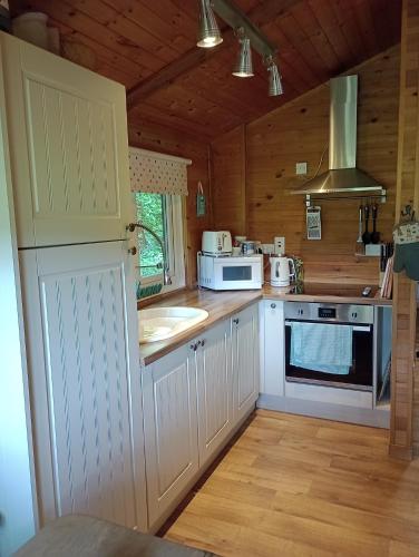 Gallery image of Comfy Secluded Cabin in Machynlleth