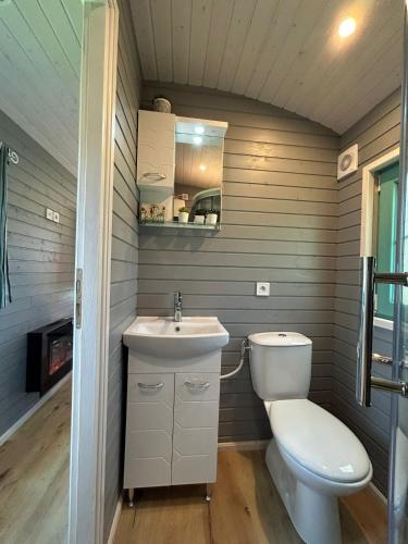 a bathroom with a toilet and a sink at La Bohème in Merendree