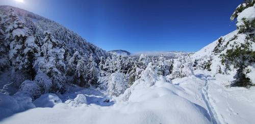 une montagne recouverte de neige et d'arbres dans l'établissement Yourte de montagne, à Colmars