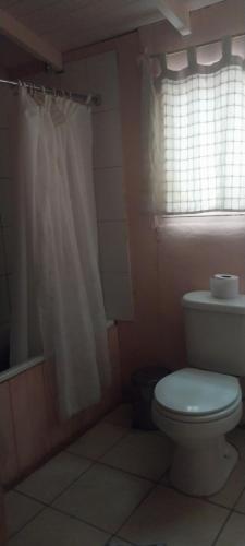 a bathroom with a white toilet and a window at Hostal Acuariano Piscoelqui in Pisco Elqui