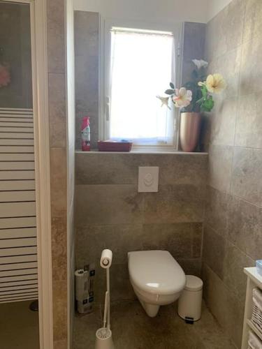 Elle comprend une petite salle de bains pourvue de toilettes et d'une fenêtre. dans l'établissement Agréable maison dans les vignes, 8 min de la plage, à Aléria