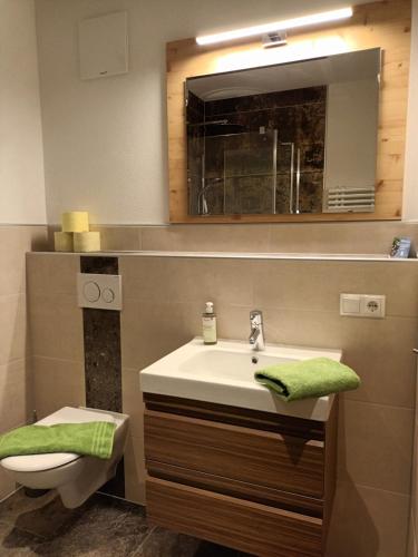 a bathroom with a sink and a toilet and a mirror at Ferienwohnung Kaufbeurerhausblick in Hinterhornbach