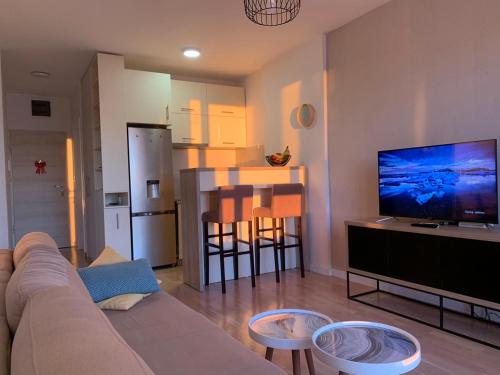 a living room with a couch and a flat screen tv at Apartment Becici in Becici