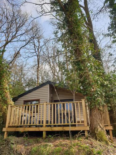 Gallery image of Comfy Secluded Cabin in Machynlleth