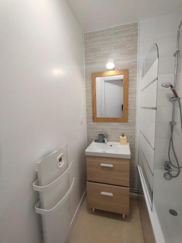 une salle de bain avec un lavabo et un miroir dans l'établissement Entre terre et mer, à Camiers