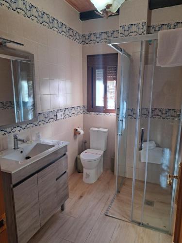 La salle de bains est pourvue d'une douche, de toilettes et d'un lavabo. dans l'établissement Hostal Breñaverde, à Gaucín