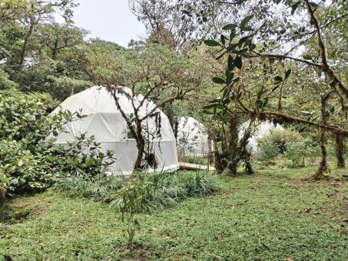 a white tent in a field of trees at Refugio La Paz EcoGlamping in San Ramón