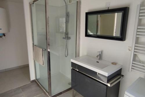 une salle de bain avec une douche, un lavabo et un miroir dans l'établissement Charmant studio indépendant dans la colline, à Eyguières