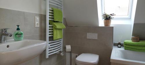 a bathroom with a sink and a toilet and a window at Ferienwohnungen Urlaubsglück in Kurort Gohrisch