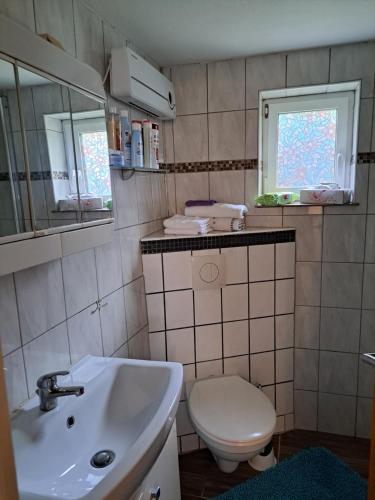 a bathroom with a sink and a toilet and a window at Nensi in Ehekirchen
