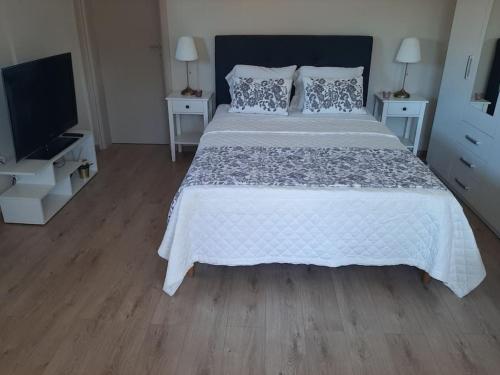 a bedroom with a large bed and a flat screen tv at studio yannis leonidas in Asprókhoma