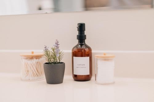 a bottle of wine sitting on a shelf with a plant at City View Retreat 2 BR 1 B in Draper