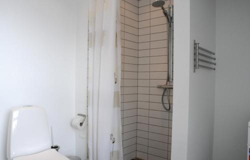 a bathroom with a toilet and a shower at Skagen Apartment in Skagen