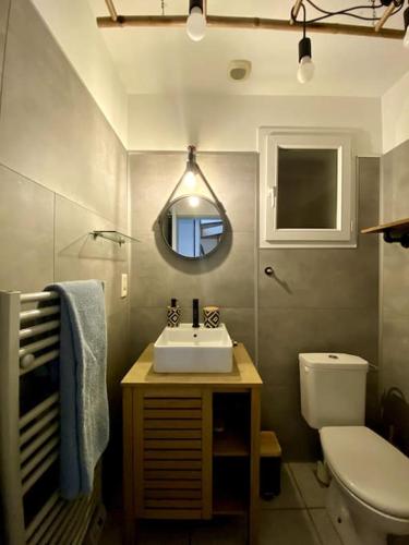 une salle de bain avec un lavabo, des toilettes et un miroir dans l'établissement Charmante maison lacanau océan, à Lacanau-Océan