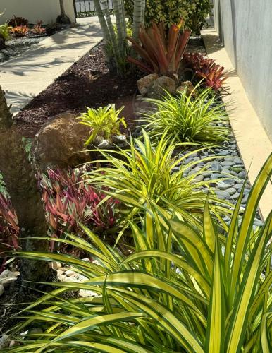 a garden with plants and a pond at Ocean Luxe in Paradise - Le Paradis Royal in Rincon