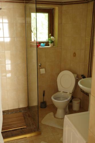 Ванная комната в Casa Podragu