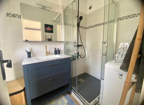a bathroom with a sink and a glass shower at La douce escapade, Superbe T2, 4 pers - parking, balcon in Villers-sur-Mer
