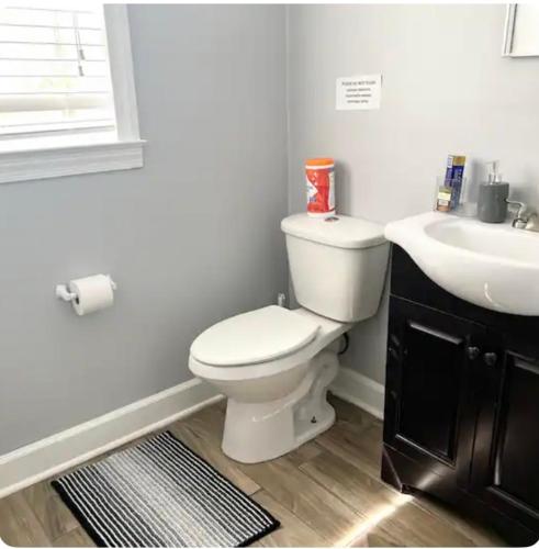 a bathroom with a white toilet and a sink at Queen Suite - Indoor Hot Tub - WiFi in Atlanta