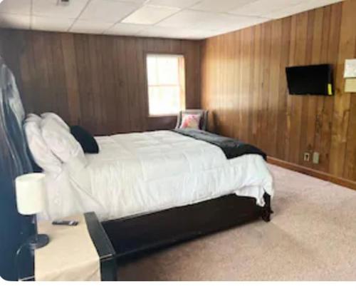 una camera con un grande letto e una televisione di Queen Suite - Indoor Hot Tub - WiFi ad Atlanta