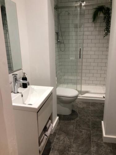 a bathroom with a sink and a toilet and a shower at On The Avenue Apt 3 in Nottingham