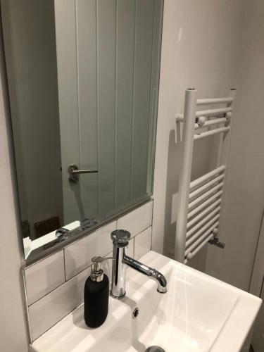 a bathroom sink with a large mirror above it at On The Avenue Apt 3 in Nottingham