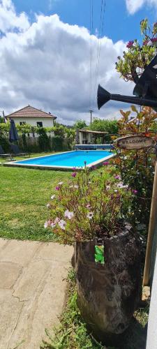 a view of a swimming pool with flowers in a yard at Carlana House in Paredes de Coura