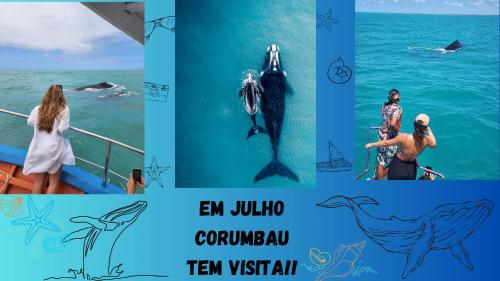 kolaż zdjęć delfina na łodzi w obiekcie Casa Araras de Corumbau w mieście Corumbau
