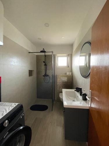 a bathroom with a sink and a shower and a sink at APARTMENTS GRANČIĆ in Jelsa