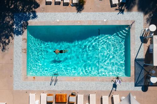 an overhead view of a person swimming in a swimming pool at Luxe Sunset Boulevard Hotel in Los Angeles