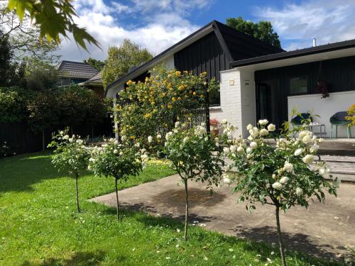 three trees in the grass in front of a house at Fashion,Bright and Spacious,Superior location in Hamilton