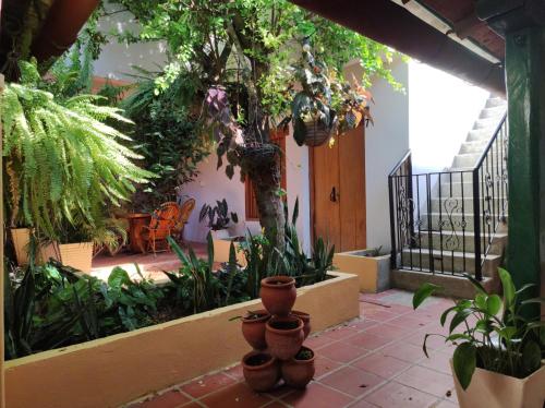 a courtyard with a bunch of plants in a building at HOTEL NIETO MOMPOX, ubicado en el corazón del centro histórico, frente al rio magdalena en zona de malecón in Mompos