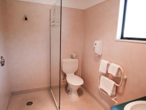 Te Anau Lakeview Holiday Park & Motelsにあるバスルーム