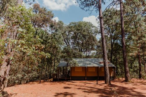 eine Hütte mitten im Wald in der Unterkunft Rodavento Boutique Hotel & Spa in Valle de Bravo