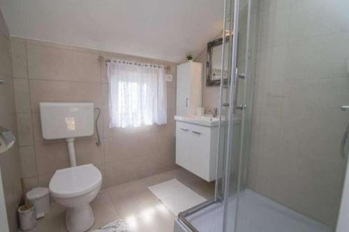 a bathroom with a toilet and a glass shower at Apartments with parking space Bonic, Losinj - 23056 in Veli Lošinj