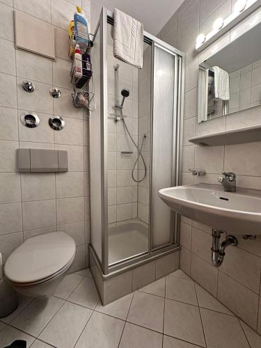 a bathroom with a shower and a toilet and a sink at Landhaus Eibele in Oberstaufen