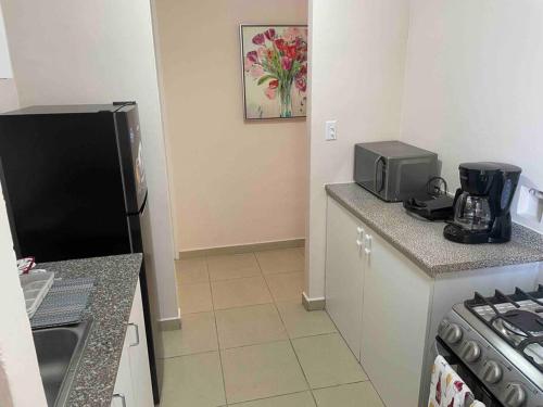 uma cozinha com um balcão e um micro-ondas em Acogedor departamento, centrico aeropuerto de Tocumen em Salsipuedes