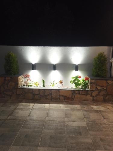 a wall with plants on it with lights on it at Paradise Apartment, Lardos Village in Lartos