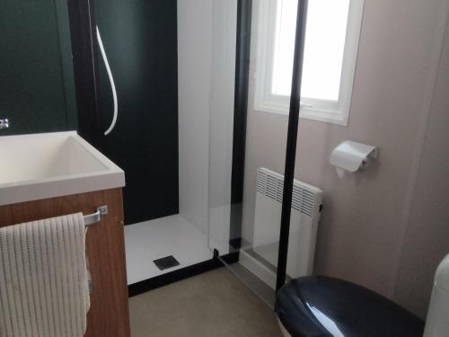 une salle de bain avec un lavabo et des toilettes et une fenêtre dans l'établissement Chalet de Luxe au Calme avec Piscines Chauffées, Clim et Prestations Haut de Gamme - FR-1-778-24, à Saint-Georges-dʼOléron