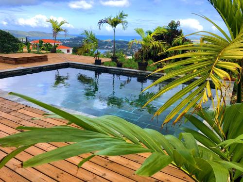 拉特里尼泰F3 Hibiscus - piscine chauffée - vue mer - 9 min de la plage - Ti Zwézo Paradi的棕榈树甲板上的游泳池