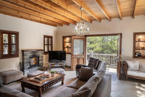 a living room with a couch and a fireplace at Troodos Mature Pine Chalet in Pedoulas
