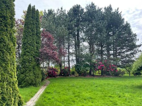 un jardín con árboles, césped verde y arbustos en Cozy Retreat in Richmond en Richmond
