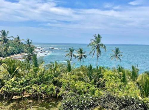 a view of a beach with palm trees and the ocean at Peacock Residence & Cabana's in Tangalle