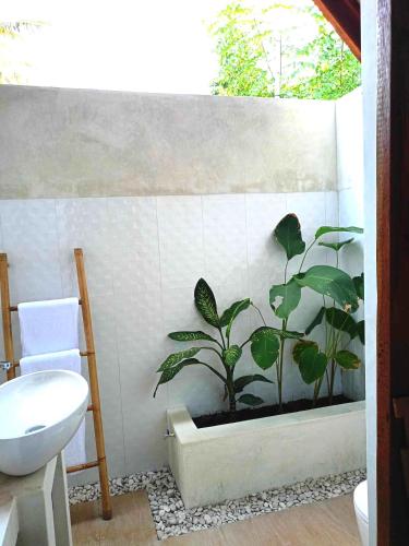 a bathroom with a toilet and a plant in a pot at Bintang Tiga Bungalows Gili Air in Gili Air