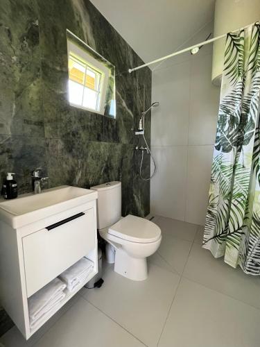 a bathroom with a toilet and a sink and a window at Žalčio guolis in Lekėčiai