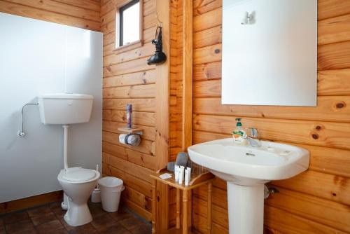 a bathroom with a white sink and a toilet at Fox Glacier Lodge in Fox Glacier