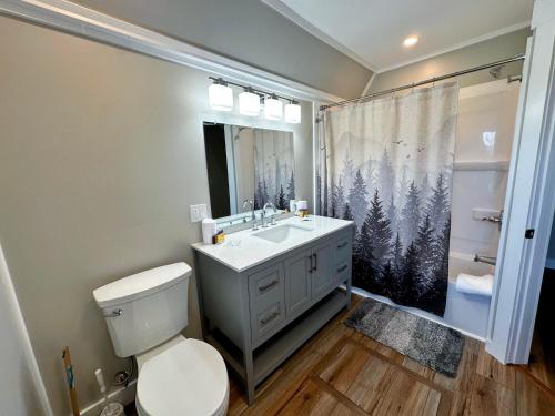 a bathroom with a toilet and a sink and a shower at Renovated farmhouse on snowmobile trail with firepit & mountain views, 10 min from Bretton Woods! in Twin Mountain