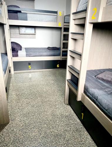 two sets of bunk beds in a room at Alberts Est 2017 in Innisfail