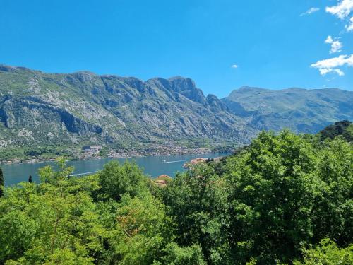 Příroda nedaleko apartmánu