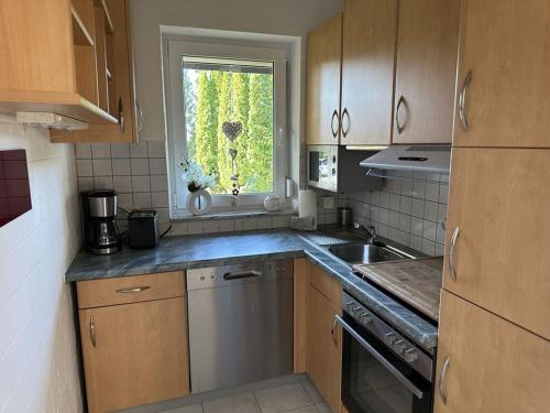 Η κουζίνα ή μικρή κουζίνα στο holiday home in the Franconian Forest