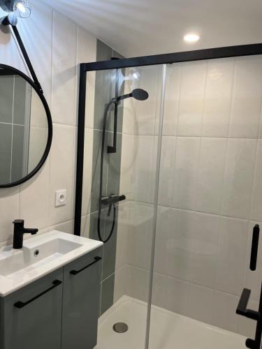 a bathroom with a shower and a sink at Studio cosy avec terrasse et accès piscine in Aurec-sur-Loire